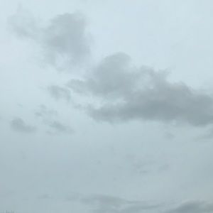 Meet your Posher, Kayte